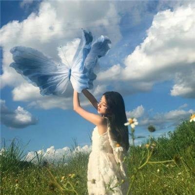 我家的律师很麻烦